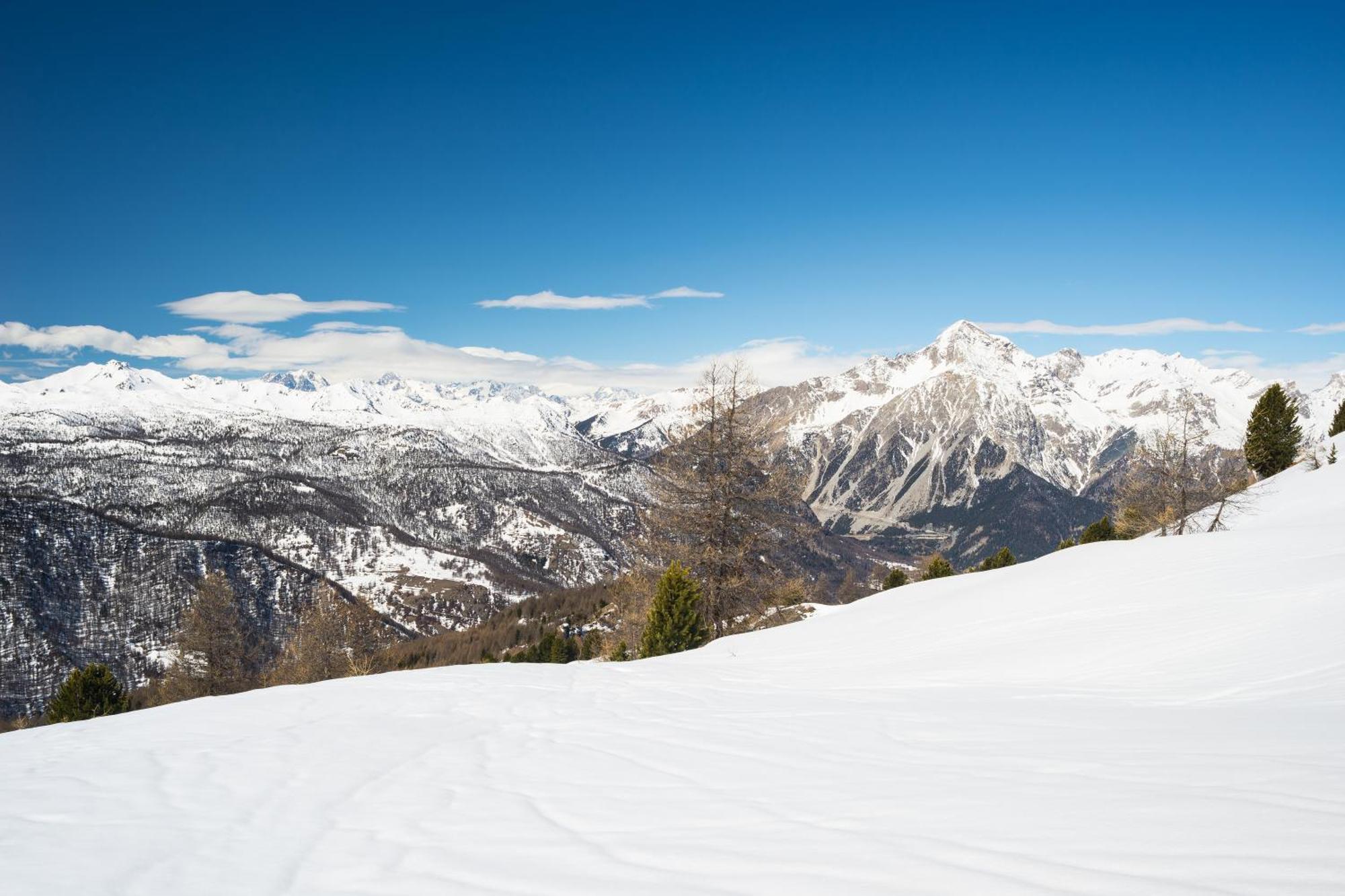 Appartamento La Marmotta Mountain Retreat - Happy Rentals クラヴィエーレ エクステリア 写真